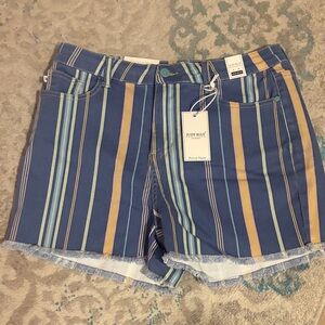 Judy Blue Multicolor Striped Jean Shorts